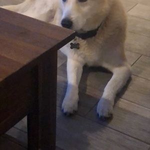 Meet your Posher, Kate